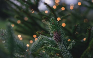 Christmas lights