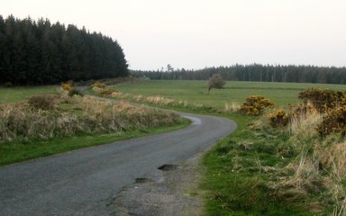 Davidstow Woods