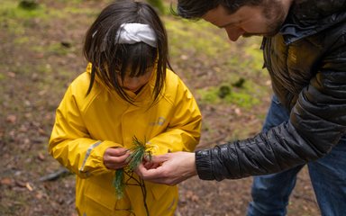 A girl in a yellow coat with an adult male is looking at a leafy twig in her hands