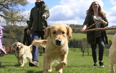 Group of dog walkers in field 