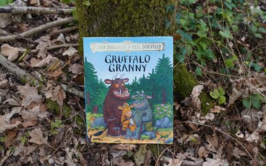 The front cover of the Gruffalo Granny picture book leaning against a mossy tree trunk.