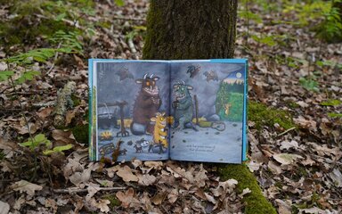 A open book showing illustrations of Gruffalo Granny, leaning against a tree trunk in a forest.