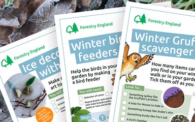 Gruffalo winter activity sheets