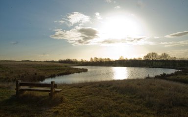 bench in front of a lake