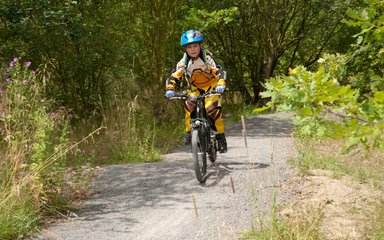 Child mountain biking on forest track