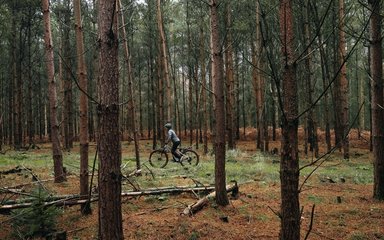 woman rides through forest on a bicycle
