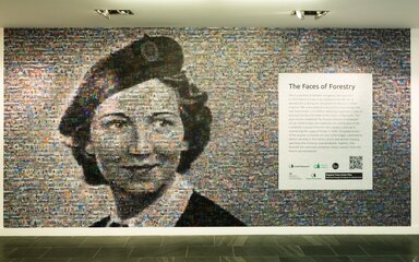 A wall featuring an image of a female face made up of other small images, and a text box about the 'faces of forestry'.