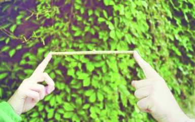 Qi sticks meditation at Westonbirt 