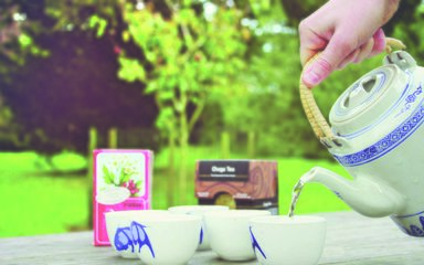 Pouring tea in the woods 