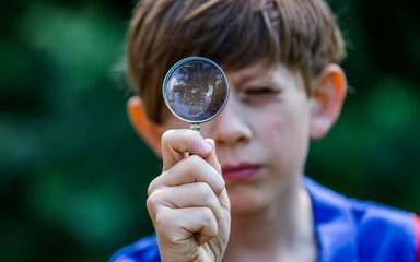 Learning Westonbirt