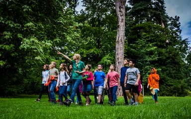 Learning Westonbirt