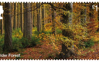 Kielder Forest stamp