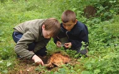 Two children exploring the forest floor