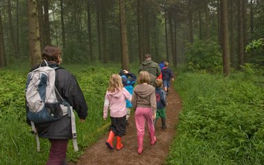 Group of school children walking through the misty forest 