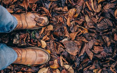 Feet in autumn leaves