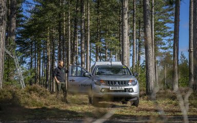 Man  in forestry england uniform leaning on van, within pine forest