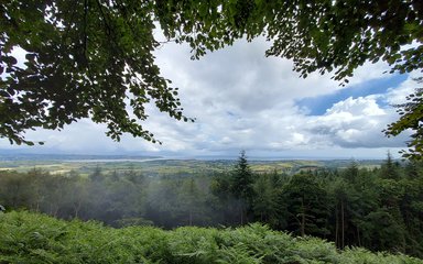 Panoramic view from Mamhead towards the Exe Estuary