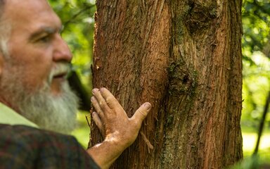 An older man with a beard laying his palm on a tree trunk.