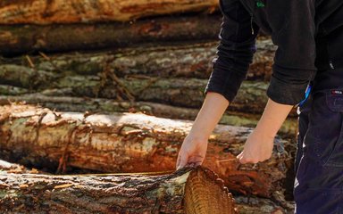 woman measuring timber with a tape measure next to a log pile