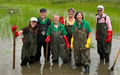 Six people stood in waterproof gear in a grassy marsh with tools.