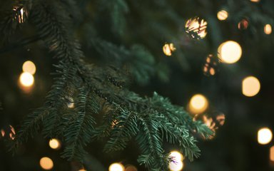 Dalby Christmas Tree