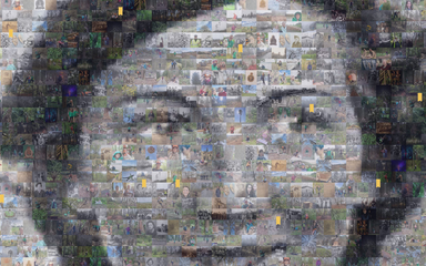 a mosaic of women in forestry images
