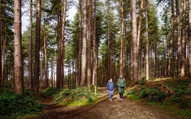 Woman and girl walking through coniferous woodland path