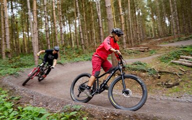 Two people ride mountain bikes along a trail through the forest.