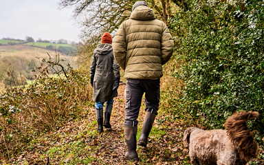 two people walking in nature with a dog in autumn