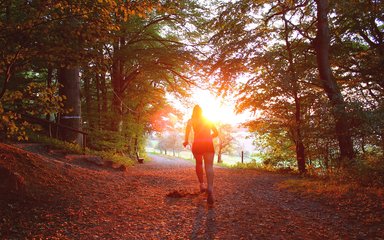 Woman running towards sunset in the forest, autumnal forest 