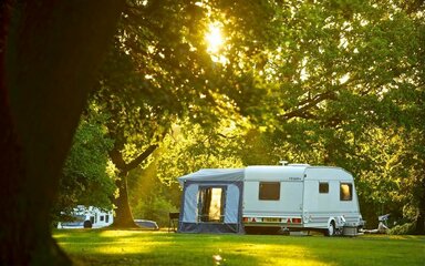 A caravan under trees