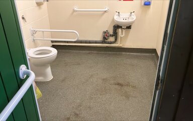 Accessible toilet at Bellever Forest