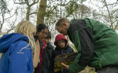 A group of children look closely at a log being held by a uniformed ranger in the forest.