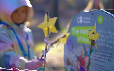 Magic wands made of sticks and paper stars being held by children in front of a large panel in the forest.