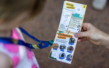 Close-up of activity cards attached to a lanyard