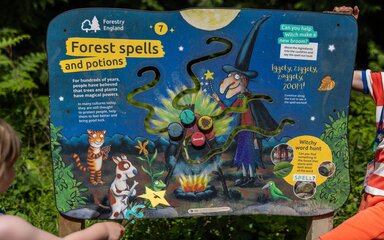 An interactive display board in the forest.