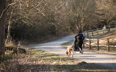 Woman running pushing buggy and with dog