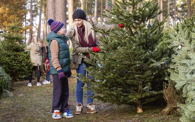 christmas trees
