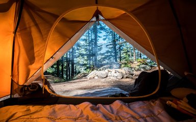 Open tent door with view out into pine forest
