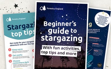 Pages of the Beginner's guide to stargazing surrounded by stars