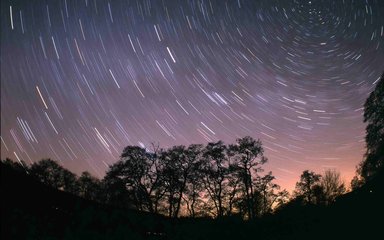 Stars