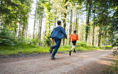 Two boys running along a forest path in the summer.