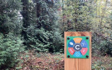 Treasure trail panel in the forest