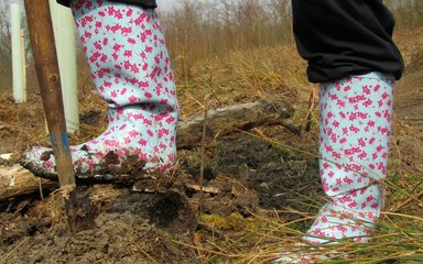 Close up of wellies planting a tree in the forest 