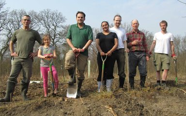 Group tree planting in the forest 