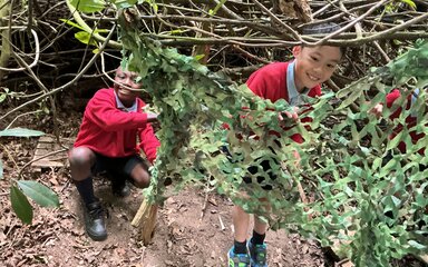 Treehouse at Wendover Woods
