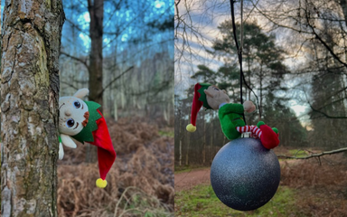Trio of elves on the elf trail at High Lodge