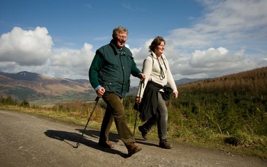 Family walking on a woodland trail