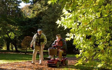 adults on an easy access trail