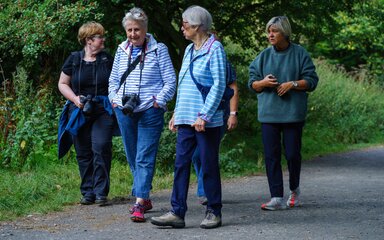 Four women walking together on a path through green space.